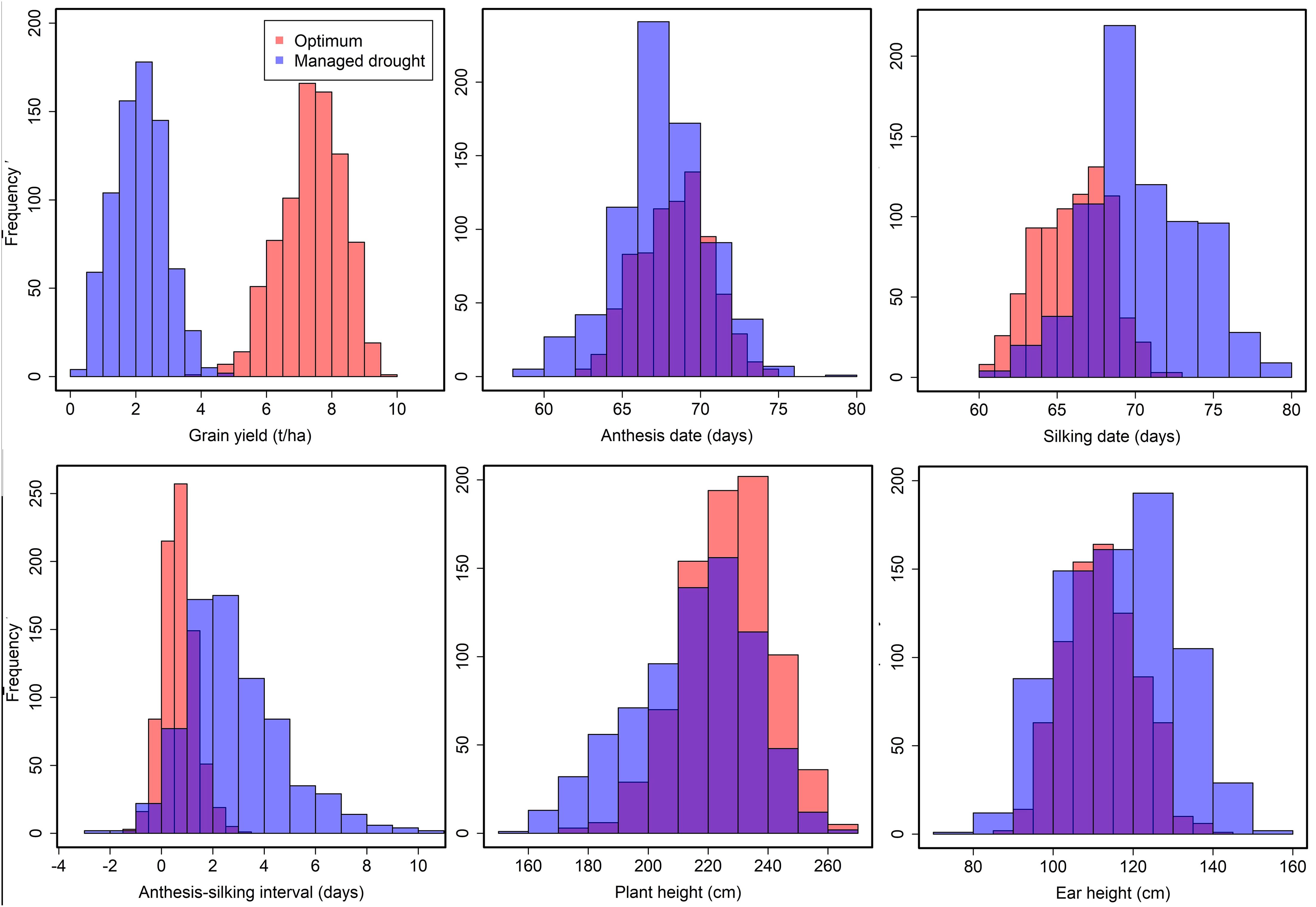 Six histograms compare plant traits under optimum (red) and managed drought (blue) conditions. Traits include grain yield, anthesis date, silking date, anthesis-silking interval, plant height, and ear height, with varying frequency distributions.