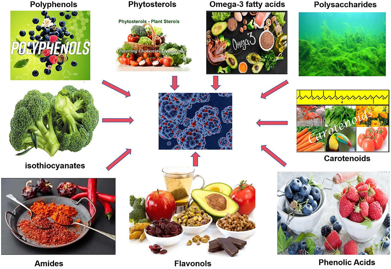 Illustration showing various food compounds: polyphenols, phytosterols, omega-3 fatty acids, polysaccharides, carotenoids, isothiocyanates, amides, flavonols, and phenolic acids. Each compound image points towards a central representation of cells, suggesting their biological impact. The compounds include diverse foods like fruits, vegetables, seeds, and nuts, emphasizing their health benefits.
