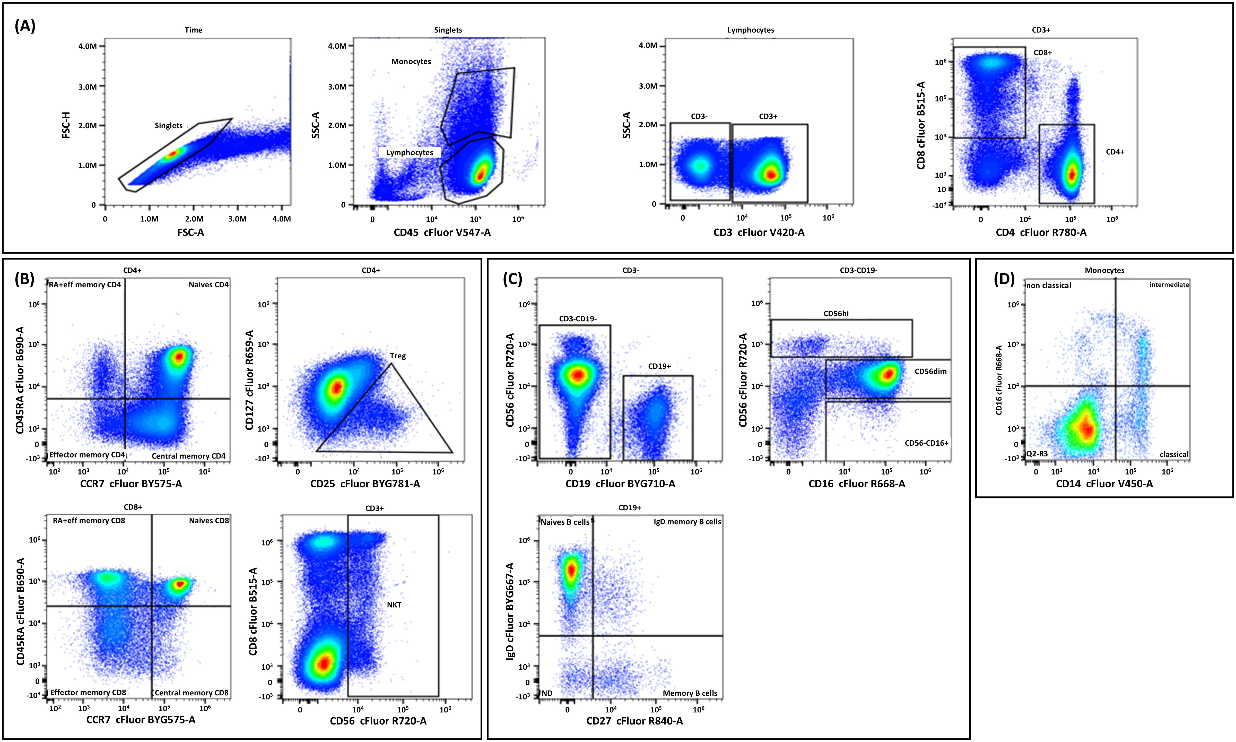 Flow cytometry scatter plots showing cell populations distinguished by various markers. (A) Includes plots for singlets, monocytes, and lymphocytes, with additional markers CD3, CD4, and CD8. (B) Shows CD4+ and CD8+ T cell populations, including memory and regulatory subsets. (C) Displays CD19+ B cell population with further characterization of CD56, CD16 expression. (D) Monocytes divided into non-classical, intermediate, and classical subsets. Each plot exhibits density colors indicating cell concentration.