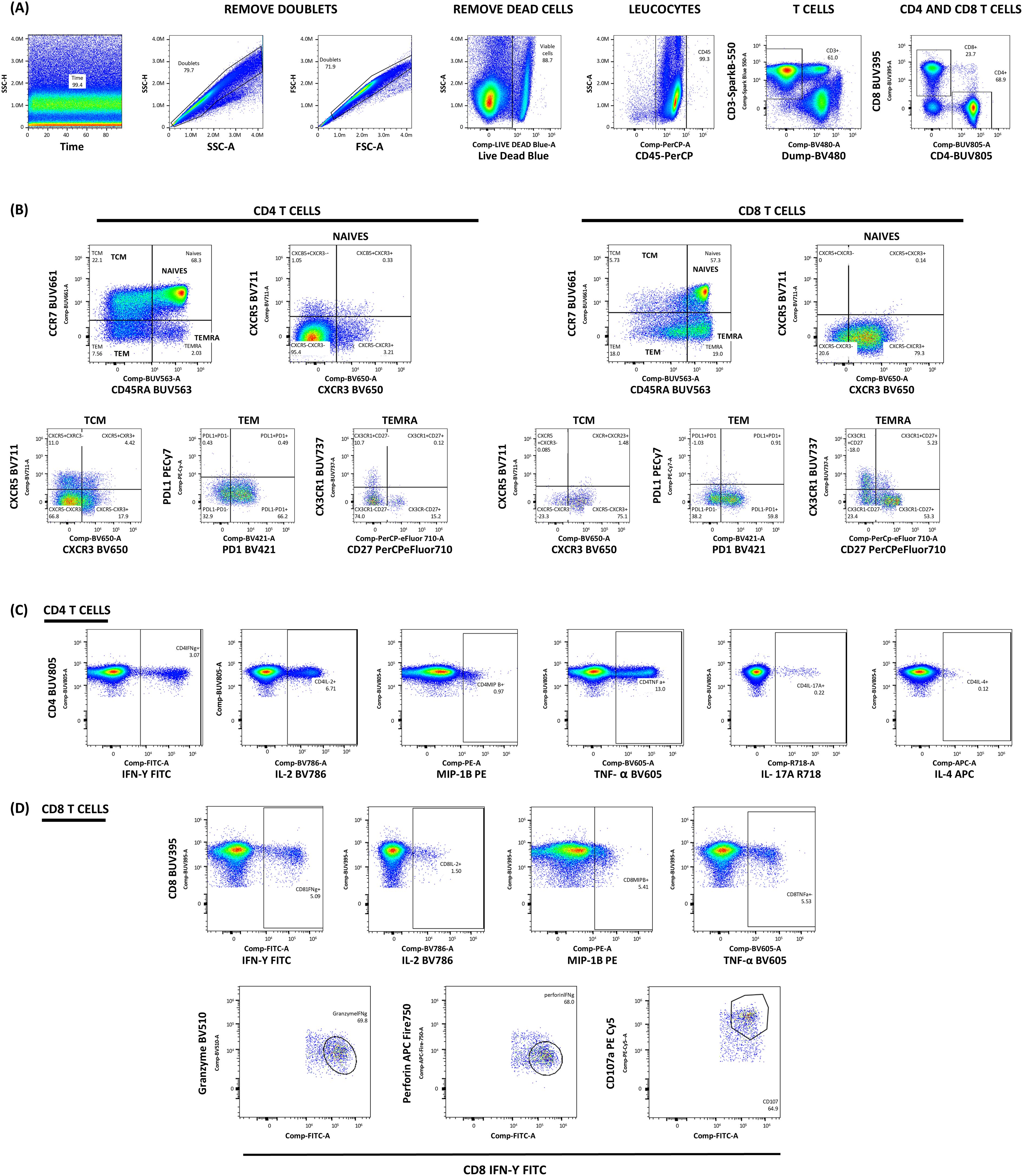 Flow cytometry analysis panels show various gating strategies for T cell subsets. Panel A illustrates steps for removing doublets, dead cells, and selecting leukocytes and specific T cell populations. Panel B details markers for CD4 and CD8 T cells, highlighting naives, TCM, TEM, and TEMRA subsets using markers like CCR7, CD45RA, and CXCR3. Panel C presents cytokine expression in CD4 T cells, showing IFN-γ, IL-2, MIP-1β, TNF-α, IL-17A, and IL-4. Panel D depicts CD8 T cells' cytokine expression and cytotoxic markers Granzyme B and Perforin.