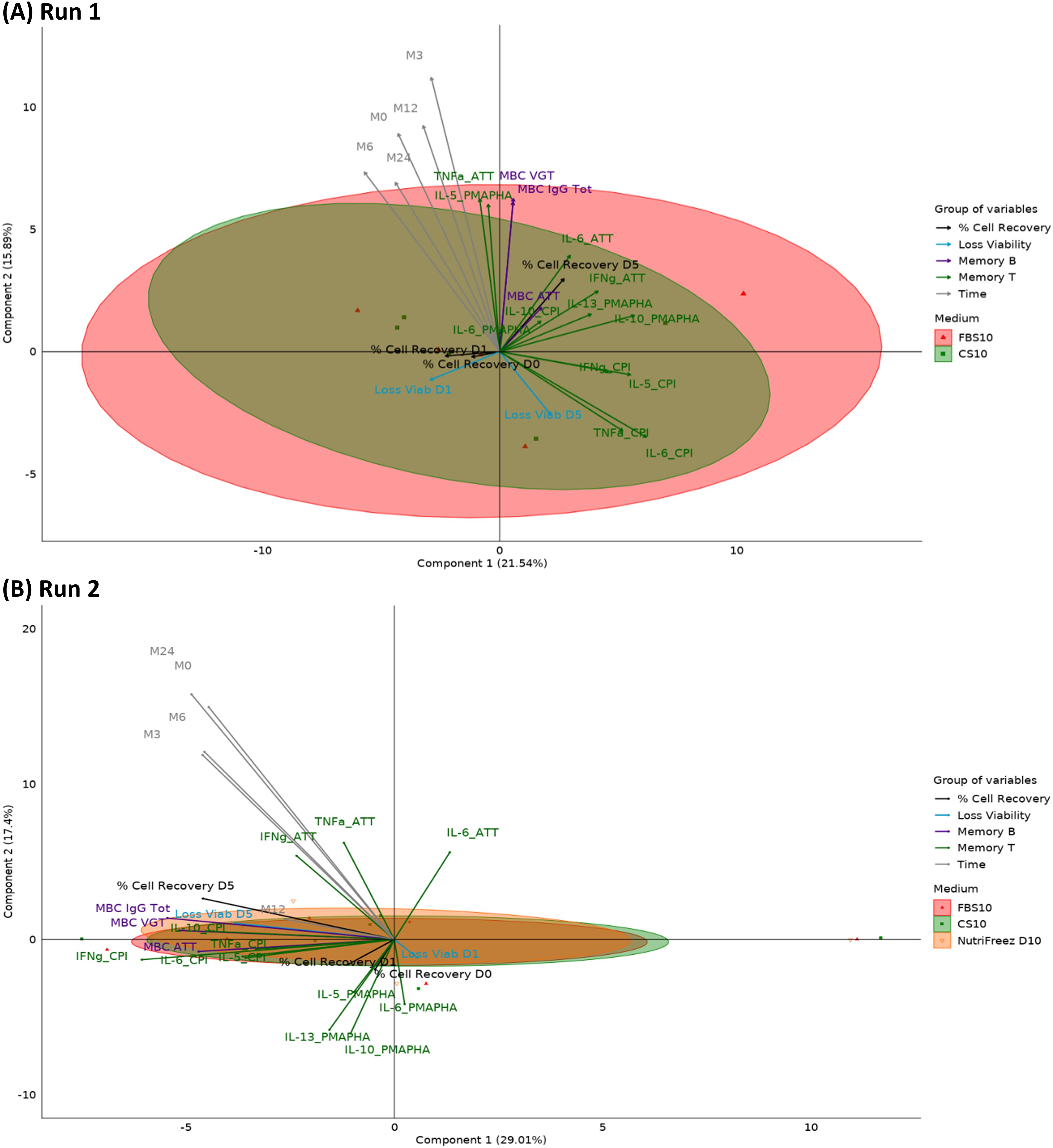 Two biplots labeled (A) Run 1 and (B) Run 2 display component analyses. Both graphs illustrate component 1 against component 2, with data points representing various group variables: % Cell Recovery, Loss Viability, Memory B, Memory T, and Time. Different colored ellipses represent media types FBS10, CS10, and NutriFreez D10. Arrows indicate variable vectors with labels like IL-6 and IFNγ. Distinct clusters of points appear within the ellipses, denoting different groupings and relationships.