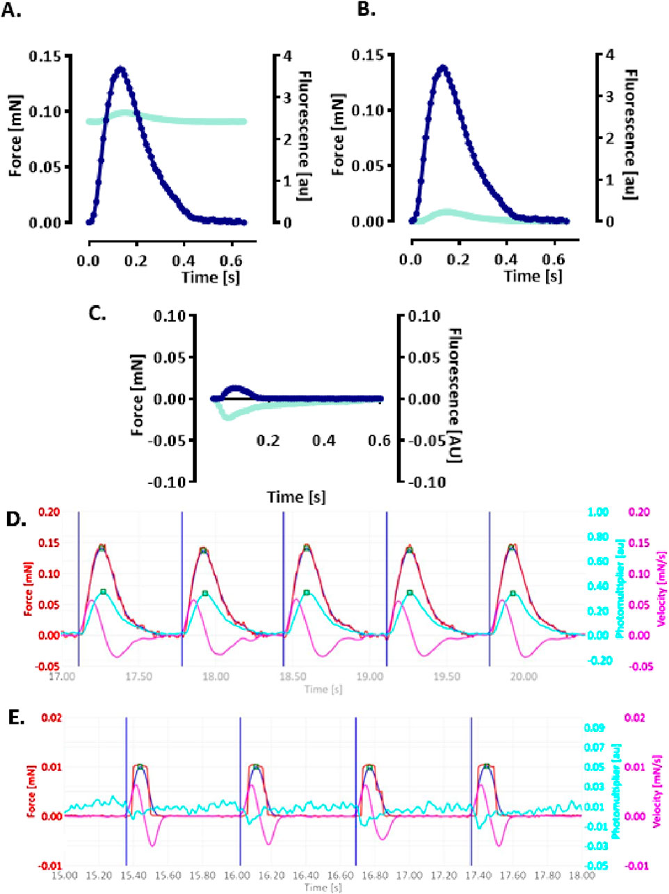 Graphs labeled A to E show force and fluorescence data. Graphs A and B display force and fluorescence over time with similar upward trends. Graph C presents minimal variation with overlapping lines. Graphs D and E illustrate periodic force peaks over time, with D showing larger peaks than E. Each graph has labeled axes for force, fluorescence, and time.