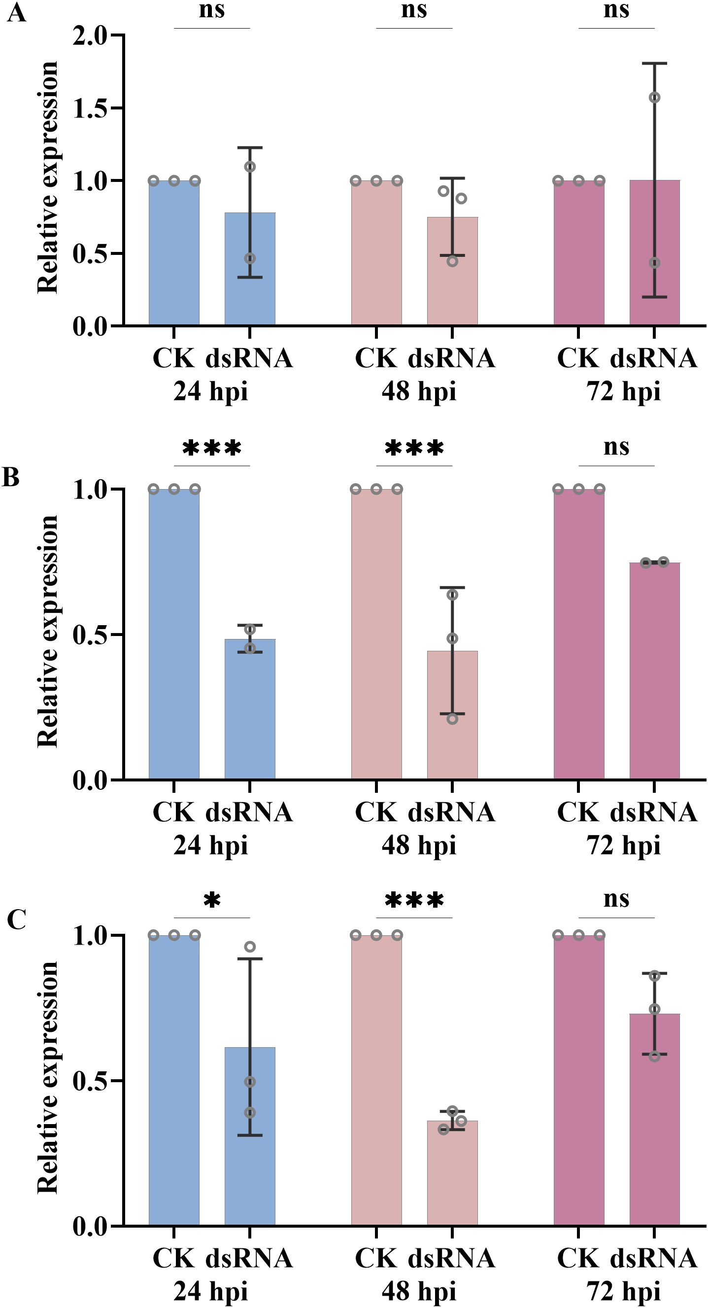 Bar graphs labeled A, B, and C display relative expression levels over time (24, 48, 72 hpi) for CK and dsRNA treatments. Graph A shows no significant differences. Graph B shows significant reduction at 24 and 48 hpi. Graph C reveals significant reduction at all time points except 72 hpi. Error bars represent standard deviation.