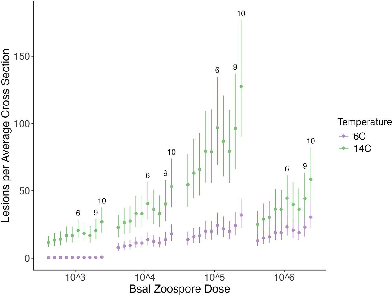 Graph showing lesions per average cross section versus Bsal zoospore dose. Green dots represent 14°C, purple dots represent 6°C. Lesions increase with dose, more significantly at 14°C. Error bars and cluster numbers indicate variability.
