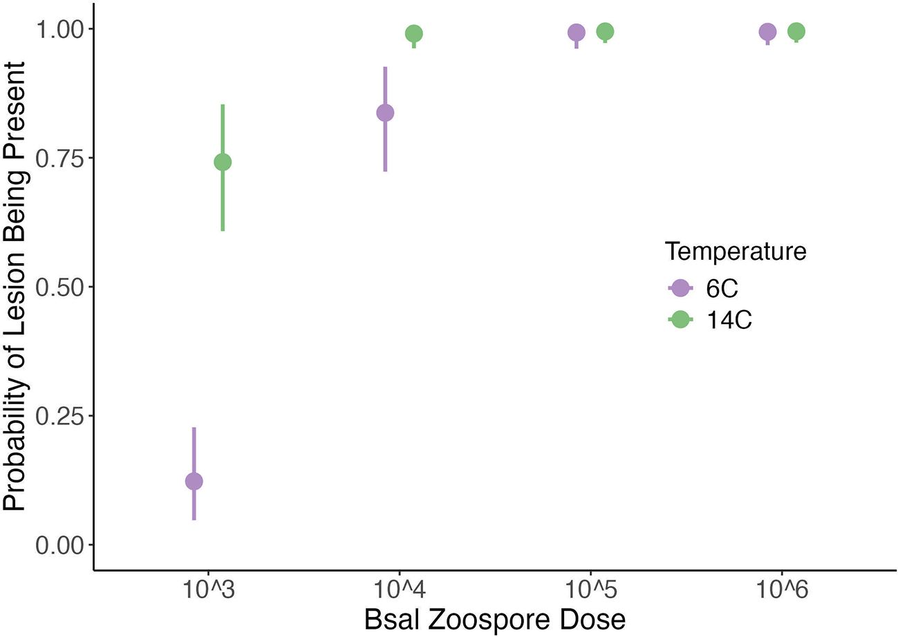 Scatter plot showing the probability of lesion presence at varying Bsal zoospore doses. The x-axis represents doses from ten to the power of three to ten to the power of six, and the y-axis shows probability from zero to one. Purple dots represent 6°C, and green dots represent 14°C. Probability increases with dose, with higher probabilities observed at higher doses for both temperatures. Error bars are included.