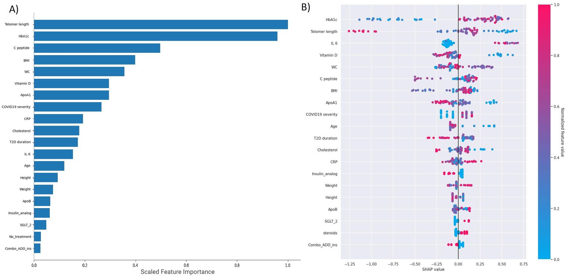 Bar chart and scatter plot analysis. Panel A displays a horizontal bar chart ranking features like telomere length, HbA1c, and BMI by significance. Panel B shows a scatter plot with SHAP values for various health parameters such as HbA1c, IL-6, and vitamin D. Dot colors represent normalized feature values, from blue (low) to red (high).