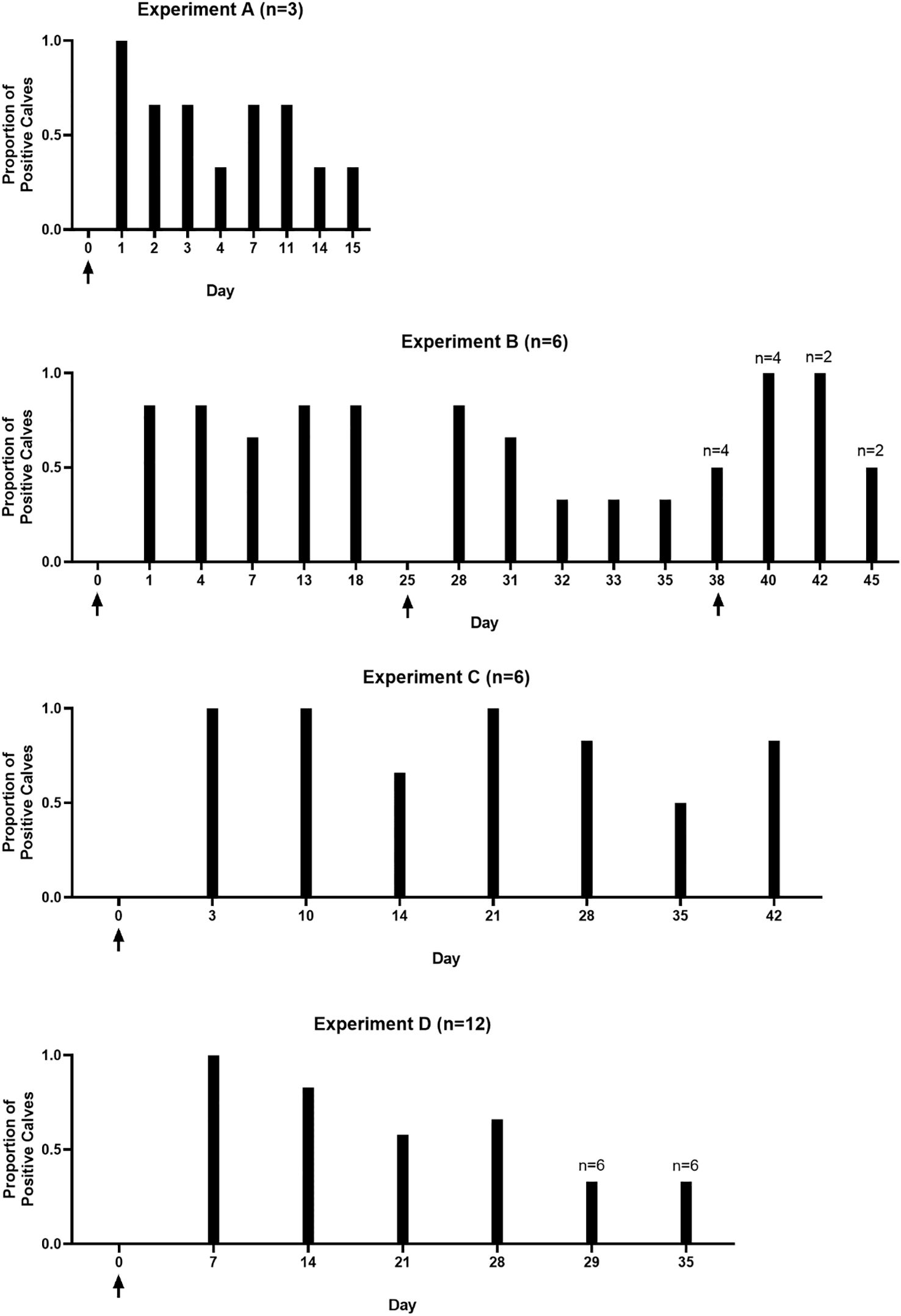 Four bar charts labeled Experiments A, B, C, and D show the proportion of positive calves over different days. Experiment A (n=3) shows decreasing proportions from days 0 to 15. Experiment B (n=6) indicates varied proportions with spikes at days 38, 40, and 42. Experiment C (n=6) shows peaks at days 3, 10, 14, and 21. Experiment D (n=12) has peaks at days 7, 14, 21, and drops at days 29 and 35. Each chart has day as the x-axis and proportion as the y-axis.