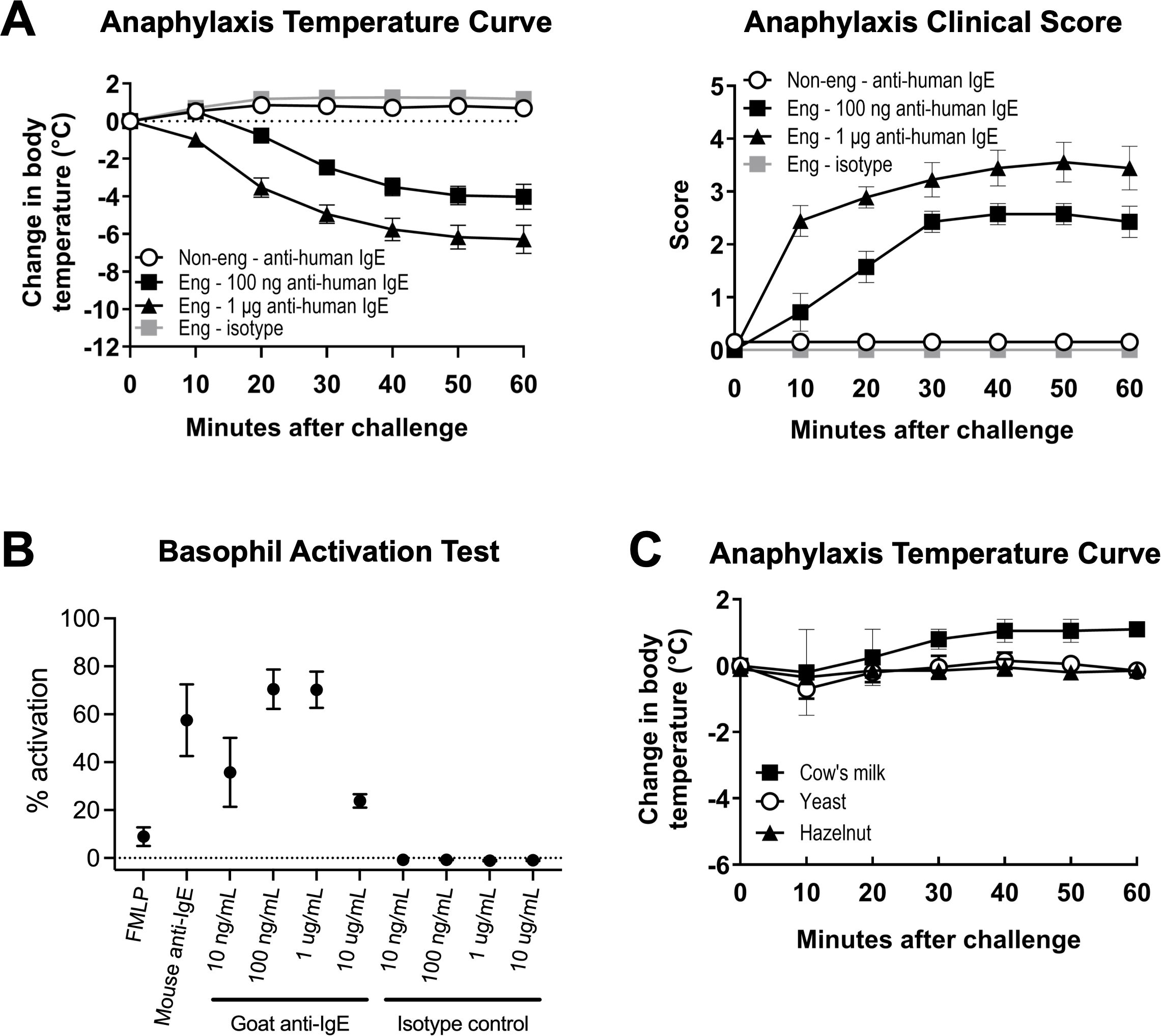 Figure A shows two line graphs. The left graph illustrates the change in body temperature over 60 minutes post-challenge for different treatments of anti-human IgE, with varying degrees of decline. The right graph represents the corresponding anaphylaxis clinical scores increasing over the same period. Figure B is a dot graph depicting the percentage of basophil activation for different anti-IgE treatments, showing variabilities in activation. Figure C is another line graph illustrating the change in body temperature over 60 minutes for different food allergens, with minimal temperature change observed.