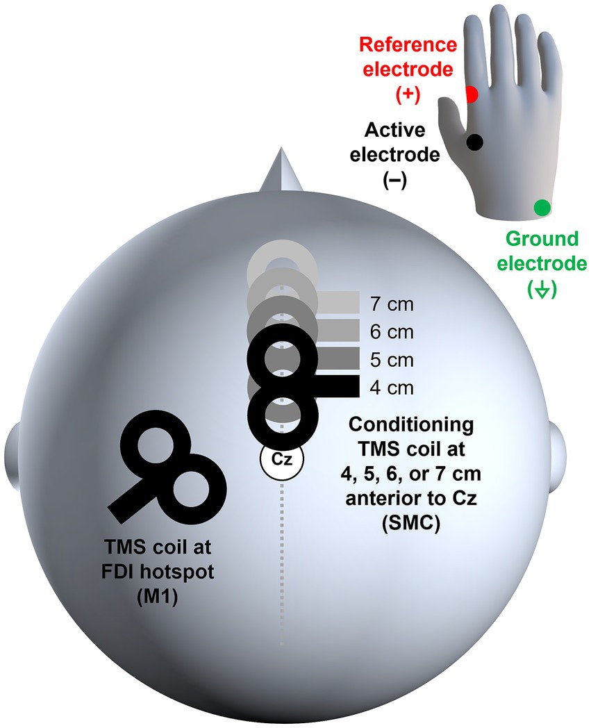 Diagram illustrating a TMS setup. The TMS coil is positioned at the FDI hotspot (M1), with a conditioning TMS coil placed at 4 to 7 centimeters anterior to Cz (SMC). A hand diagram shows the reference electrode marked in red, the active electrode in black, and the ground electrode in green. Distance labels of 4 to 7 centimeters demonstrate coil variation relative to Cz.