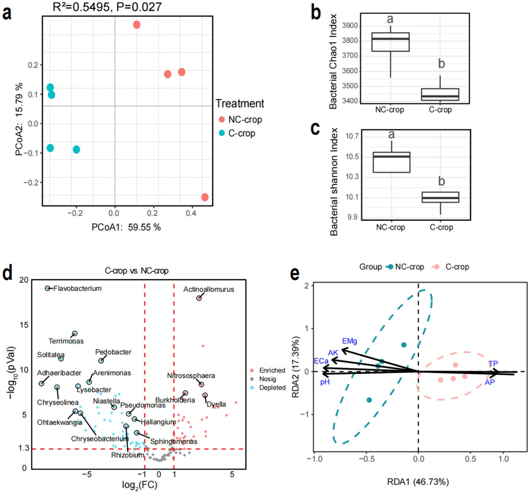 Five graphs analyze bacterial data:a) PCoA plot showing treatment group separation (red for NC-crop, blue for C-crop);b) Boxplot of bacterial Chao1 index with NC-crop higher;c) Boxplot of bacterial Shannon index with NC-crop higher;d) Volcano plot comparing bacteria between groups, identifying significant species;e) RDA plot with environmental factors influencing group separation.
