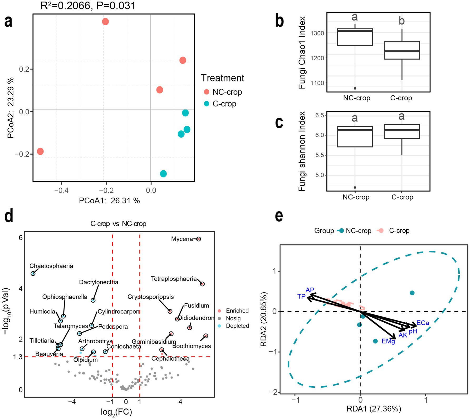 Panel of five images analyzing fungal community data. a) Principal Coordinate Analysis (PCoA) plot showing separation between NC-crop (red) and C-crop (blue) treatments. b) Boxplot of Fungi Chao1 Index indicating diversity differences with NC-crop lower than C-crop. c) Boxplot of Fungi Shannon Index, showing no significant difference between treatments. d) Volcano plot displaying enriched and depleted fungal taxa between treatments. e) Redundancy Analysis (RDA) plot illustrating fungal community variation, with environmental vectors shown.