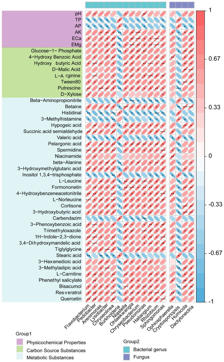 Correlation heatmap showing relationships between different variables, divided into two groups: physicochemical properties, carbon source substances, and metabolic substances (Group 1), and bacterial genera and fungus (Group 2). Colors range from red (positive correlation) to blue (negative correlation), with a gradient scale from -1 to 1 on the right. Each cell displays a correlation coefficient, represented by the color intensity and pattern. Group 1 includes items like pH and glucose, while Group 2 includes various bacterial and fungal genera.