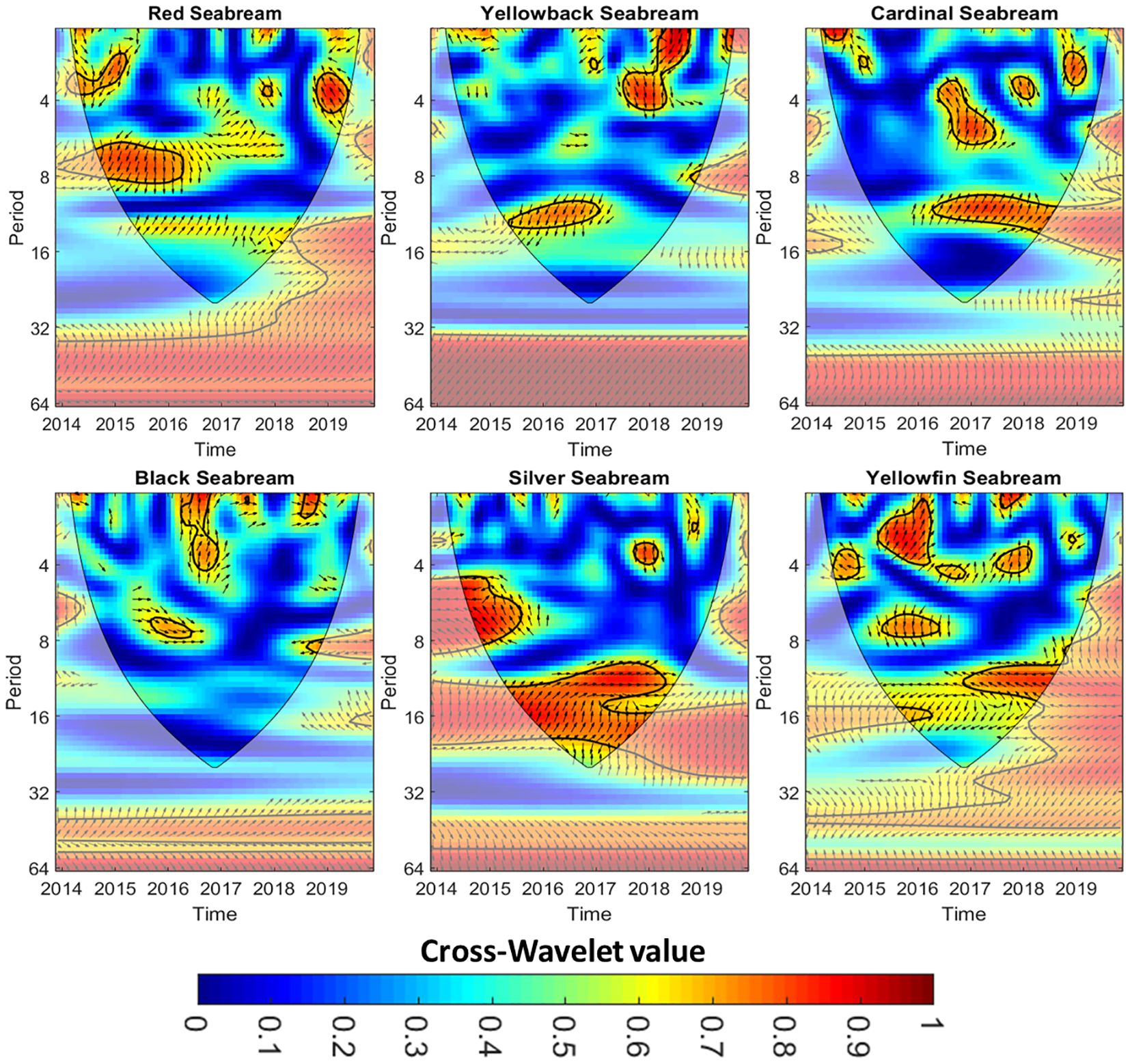 Cross-wavelet transform plots for five seabream species: Red, Yellowback, Cardinal, Black, Silver, and Yellowfin. Each plot shows time (2014-2019) on the x-axis and period on the y-axis. Color gradients from blue to red represent cross-wavelet values, indicating varying correlations over different periods and times. Black contour lines and arrows denote phase relationships. The color bar ranges from blue (0) to red (1).