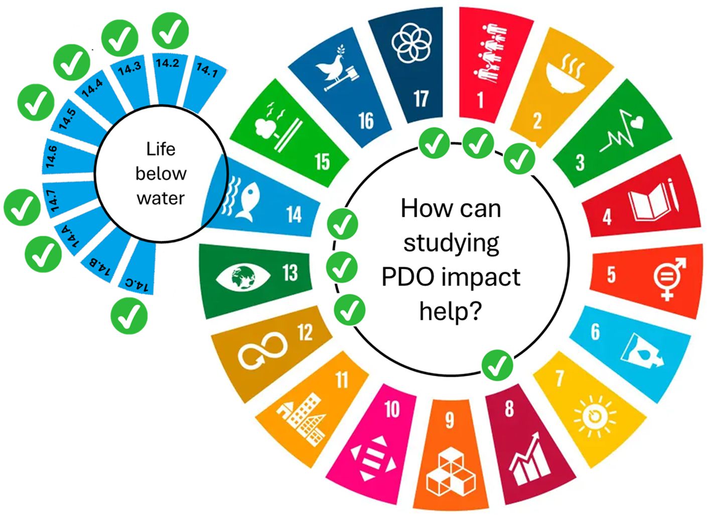 Diagram illustrating Sustainable Development Goals, focusing on “Life below water” and how studying Pacific Decadal Oscillation (PDO) impacts these. Sections with goals 1 to 17 in colorful wedges, accompanied by green checkmarks indicating related goals.