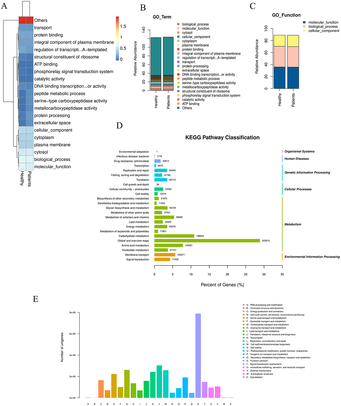 Panel A shows a bar chart of differences in mean proportions for various metabolic processes between patients and healthy individuals. Panel B presents a phylogenetic tree with highlighted branches. Panel C displays a GO enrichment scatter plot indicating gene term significance with varying dot sizes. Panel D features a bar plot depicting enriched GO terms across biological processes, cellular components, and molecular functions. Panel E illustrates a circular dendrogram representing phylogenetic relationships among species.