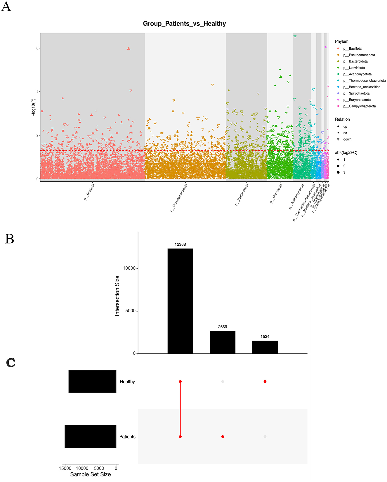 Panel A shows a scatter plot comparing patients versus healthy individuals across different phyla with color-coded dots. Panel B features two bar graphs displaying intersection sizes of various sample sets, with numeric labels on bars and horizontal black bars representing healthy and patient groups.
