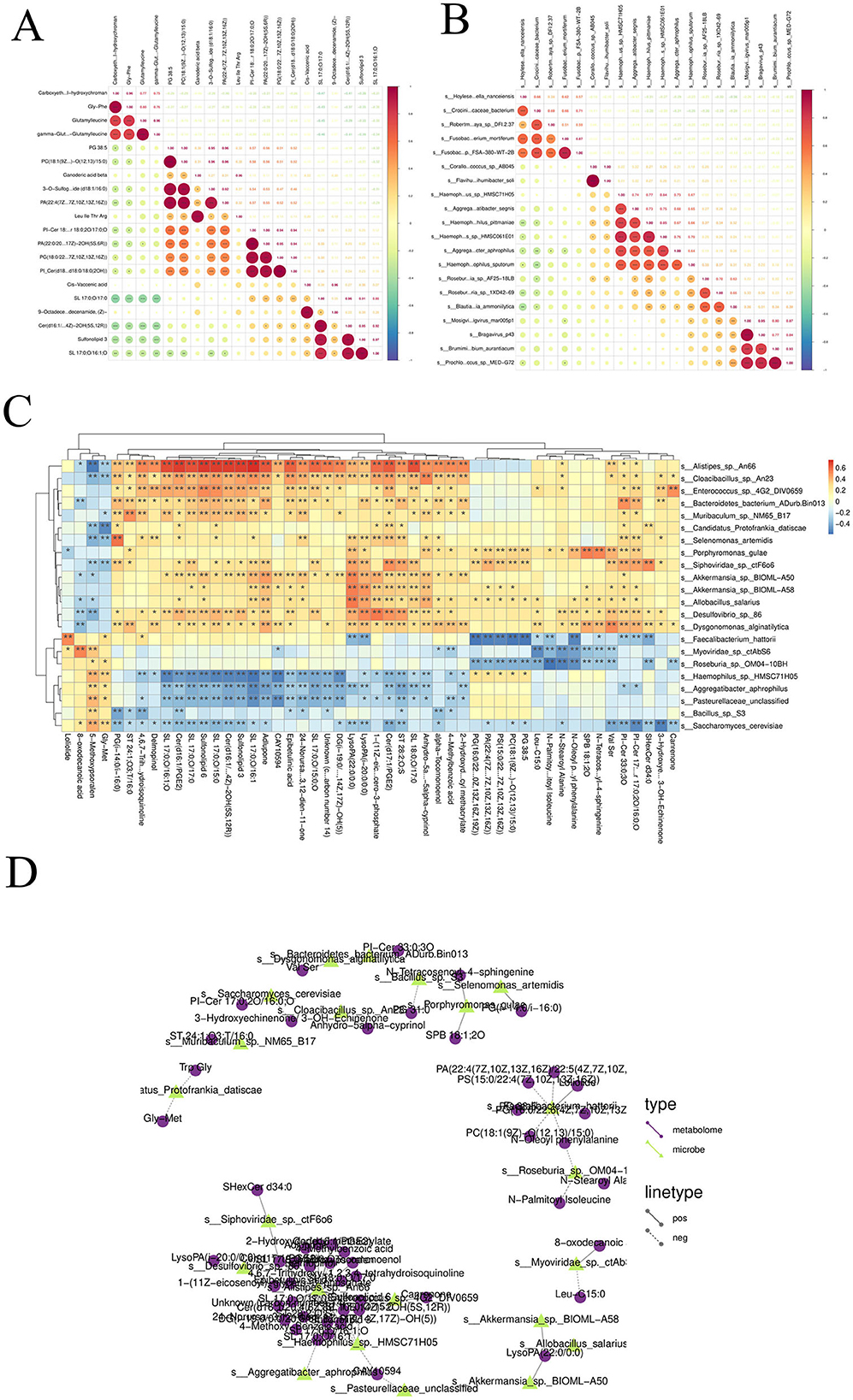 Four scientific figures labeled A to D are shown. A: A correlogram displaying correlations between various species and metabolic features, indicated by colored circles of varying sizes. B: Another correlogram similar to A, with different species and metabolites. C: A heatmap showing clustered data with a color gradient from blue to red, representing different levels of correlation among species and metabolites. D: A scatter plot illustrating the relationship between microbial and metabolome data points, differentiated by color and line type as labeled in the legend.
