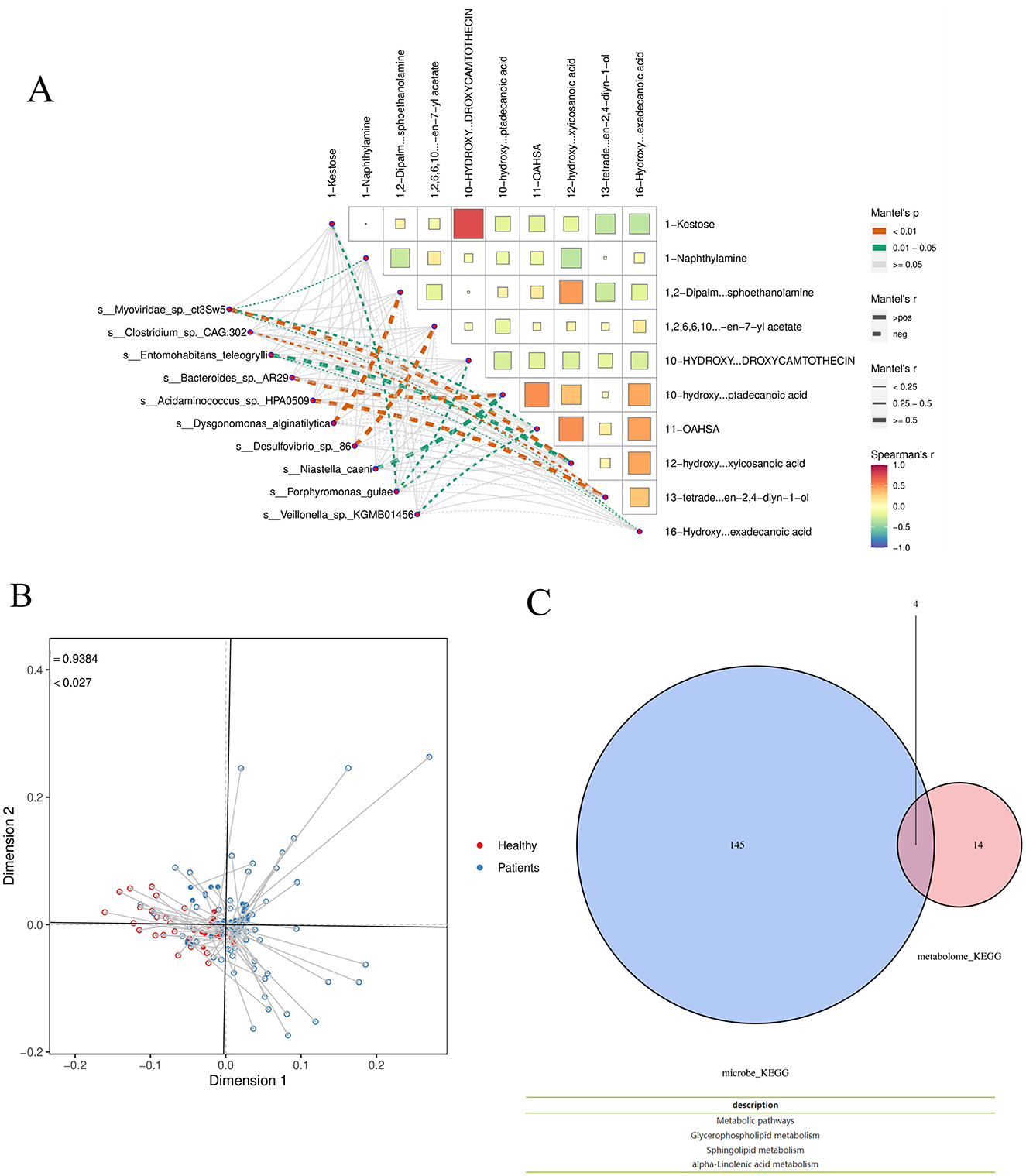A: Network plot illustrating relationships between species and metabolites with color-coded correlation squares. B: Biplot showing two-dimensional data separation between healthy individuals and patients. C: Venn diagram comparing KEGG pathways, depicting overlapping and distinct pathways between the microbe and metabolome datasets.