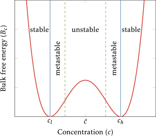 Graph showing the relationship between bulk free energy (B sub c) and concentration (c). The graph has a distinct double-well shape with two stable points at the lowest energy on the sides, labeled c sub l and c sub h. The middle peak represents an unstable region, with two metastable regions flanking it. Vertical lines indicate stable and metastable areas.