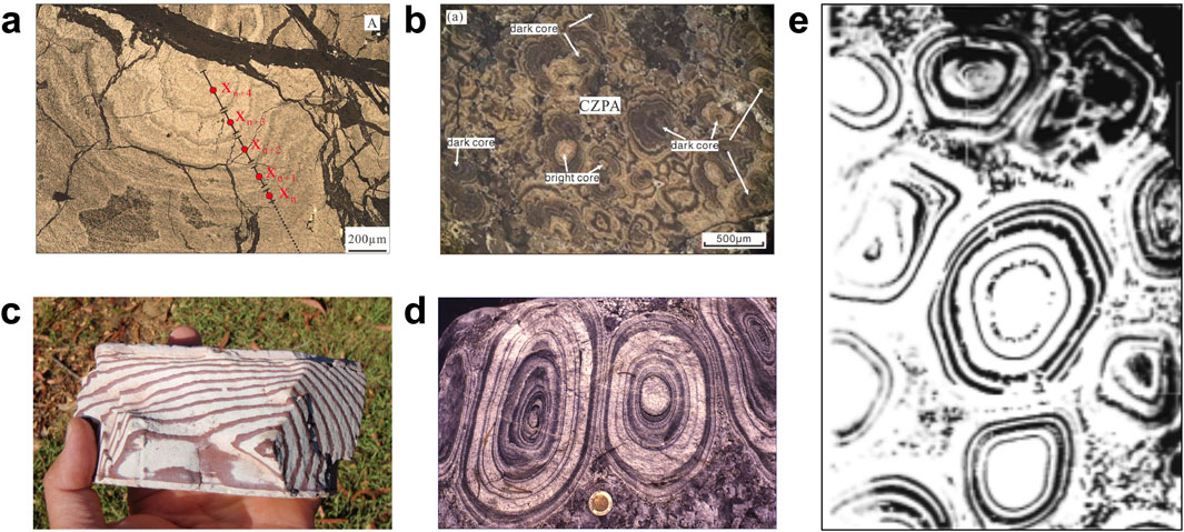 Five different images showing various examples of Liesegang rings in different materials and forms. a) Microscopic view of Liesegang rings with marked points and measurements, scale bar 200 micrometers. b) Close-up view of a material with dark and bright core regions marked, scale bar 500 micrometers. c) Hand holding a rock specimen displaying Liesegang patterns with alternating light and dark bands. d) Close-up of a rock surface featuring concentric Liesegang bands with a coin for scale. e) Grayscale image displaying distinct concentric Liesegang rings.