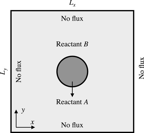 Diagram of a square region with sides labeled \(L_x\) and \(L_y\) and arrows indicating