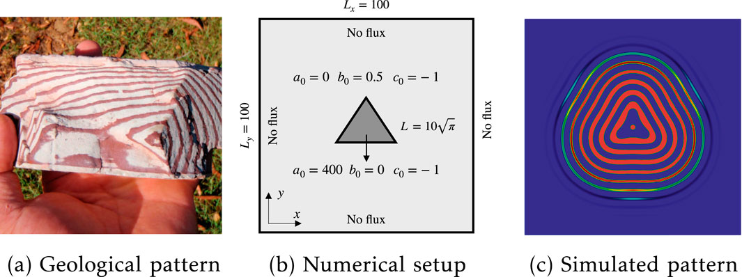 (a) A person's hand holding a geological rock sample with layered patterns. (b) A diagram showing a triangular area with no flux boundaries, annotated with mathematical parameters. (c) A simulated contour pattern on a blue background with concentric lines in red and green shades.
