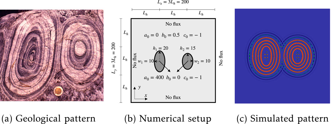 (a) Geological pattern with complex, multicolored concentric formations, resembling rock layers. (b) Numerical setup diagram showing parameters: flux, dimensions \(L_x = 3L_h = 200\), \(L_y = 3L_h = 200\), dimensions \(L_k\), \(L_h\), and numerical values for \(a_0\), \(b_0\), \(c_0\), with ellipses illustrating specific values. (c) Simulated pattern displaying a symmetrical, blue and red concentric design, similar to (a).