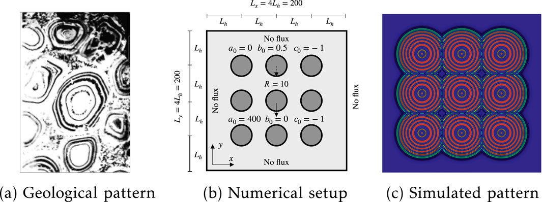 (a) Monochrome geological pattern with concentric shapes resembling rock formations. (b) Diagram showing numerical setup with labeled dimensions, circular zones, and