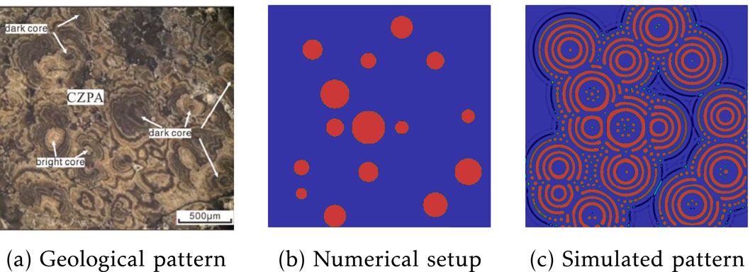(a) Geological pattern showing a natural rock formation with distinct dark and bright cores, labeled as CZPA, with a scale of 500 micrometers. (b) Numerical setup depicting a blue background with red circular dots of various sizes. (c) Simulated pattern illustrating concentric red and blue circles on a blue background, replicating the geological texture.