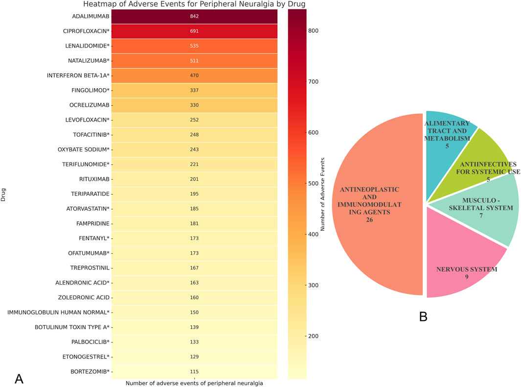 Heatmap and pie chart of adverse events for peripheral neuralgia by drug. The heatmap shows the highest number of events for Adalimumab (842) and Ciprofloxacin (691) in descending order. The pie chart categorizes adverse events with the largest segment being