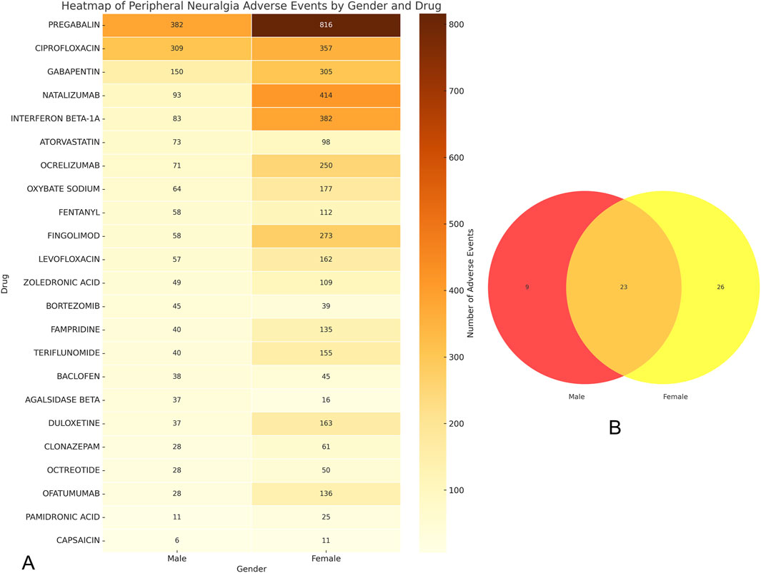 Heatmap showing peripheral neuralgia adverse events by gender and drug, highlighting higher occurrences for Pregabalin in females. Adjacent Venn diagram displays overlap of adverse events between males and females, with 23 events common to both.