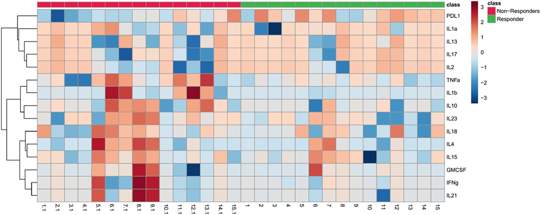 Heatmap depicting expression levels of various cytokines across samples classified as responders (green) and non-responders (red). The color gradient indicates expression levels from -3 (blue) to 3 (red). Dendrogram on the left shows hierarchical clustering of cytokines.