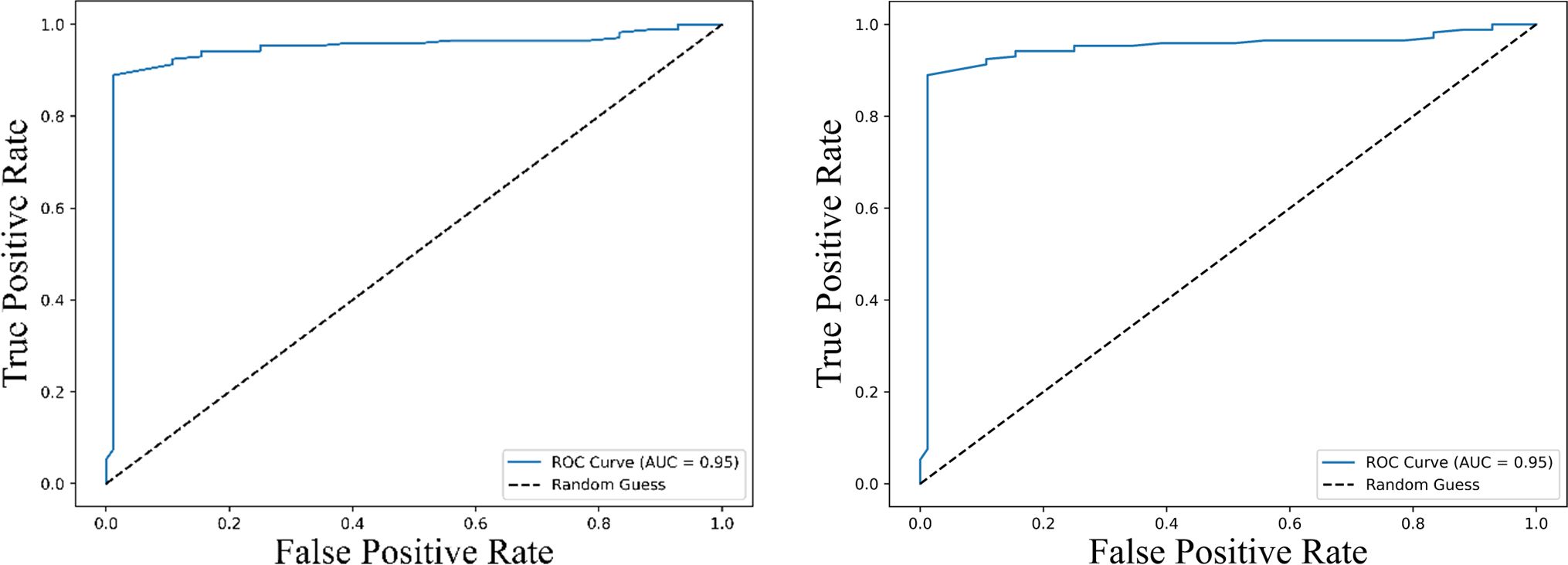 Two ROC curve graphs with the blue line representing the ROC curve and the dashed line showing the random guess line. Both graphs have an area under the curve (AUC) of 0.95, indicating high accuracy. The x-axis is labeled “False Positive Rate” and the y-axis “True Positive Rate.
