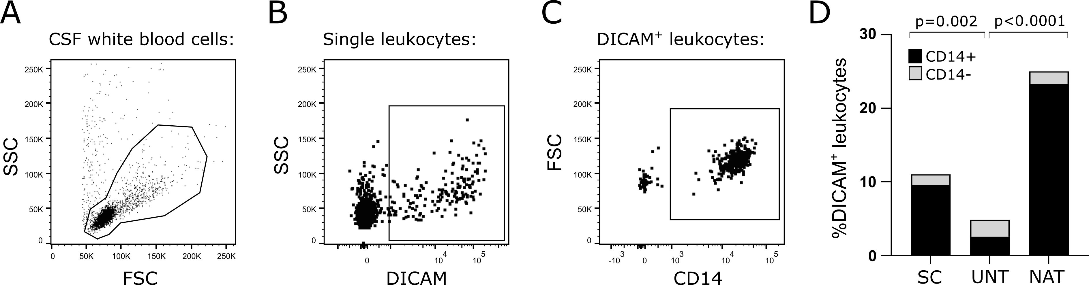Flow cytometry analysis showing four panels. Panel A: Scatter plot of cerebrospinal fluid white blood cells with axes for SSC and FSC. Panel B: Single leukocytes marked by SSC versus DICAM. Panel C: DICAM-positive leukocytes marked by FSC versus CD14. Panel D: Bar graph depicting percentage of DICAM-positive leukocytes, comparing CD14-positive and negative populations across SC, UNT, and NAT groups, with p-values indicating significance.