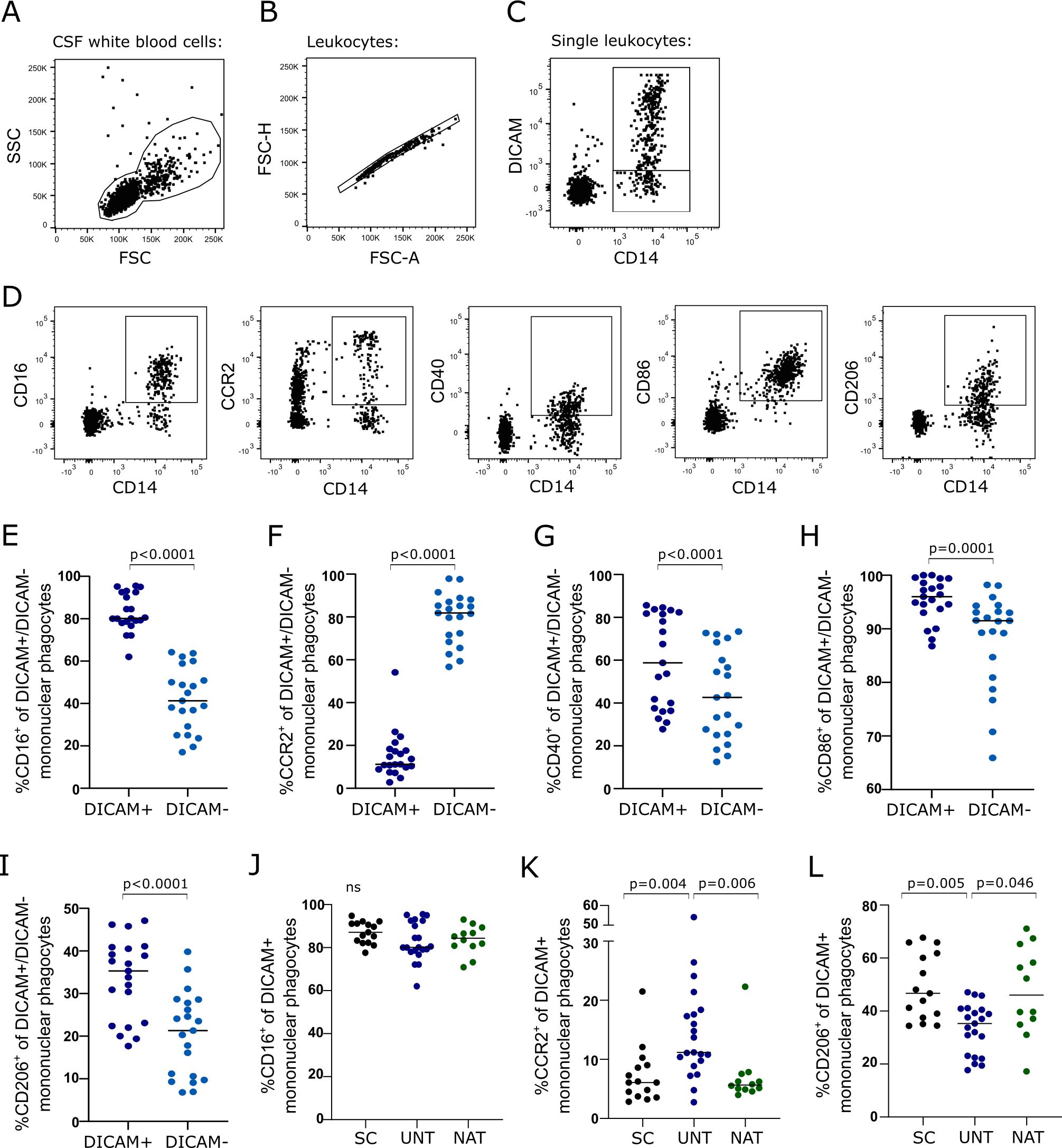 Scatter plots and dot plots illustrating flow cytometry data for CSF white blood cells. Panels A to D display cell staining characteristics using FSC, SSC, CD14, DICAM, CD16, CCR2, CD40, CD86, and CD206 markers. Panels E to L show percentage differences of DICAM+ and DICAM- mononuclear phagocytes for various markers, with significant p-values indicating statistical differences between groups.