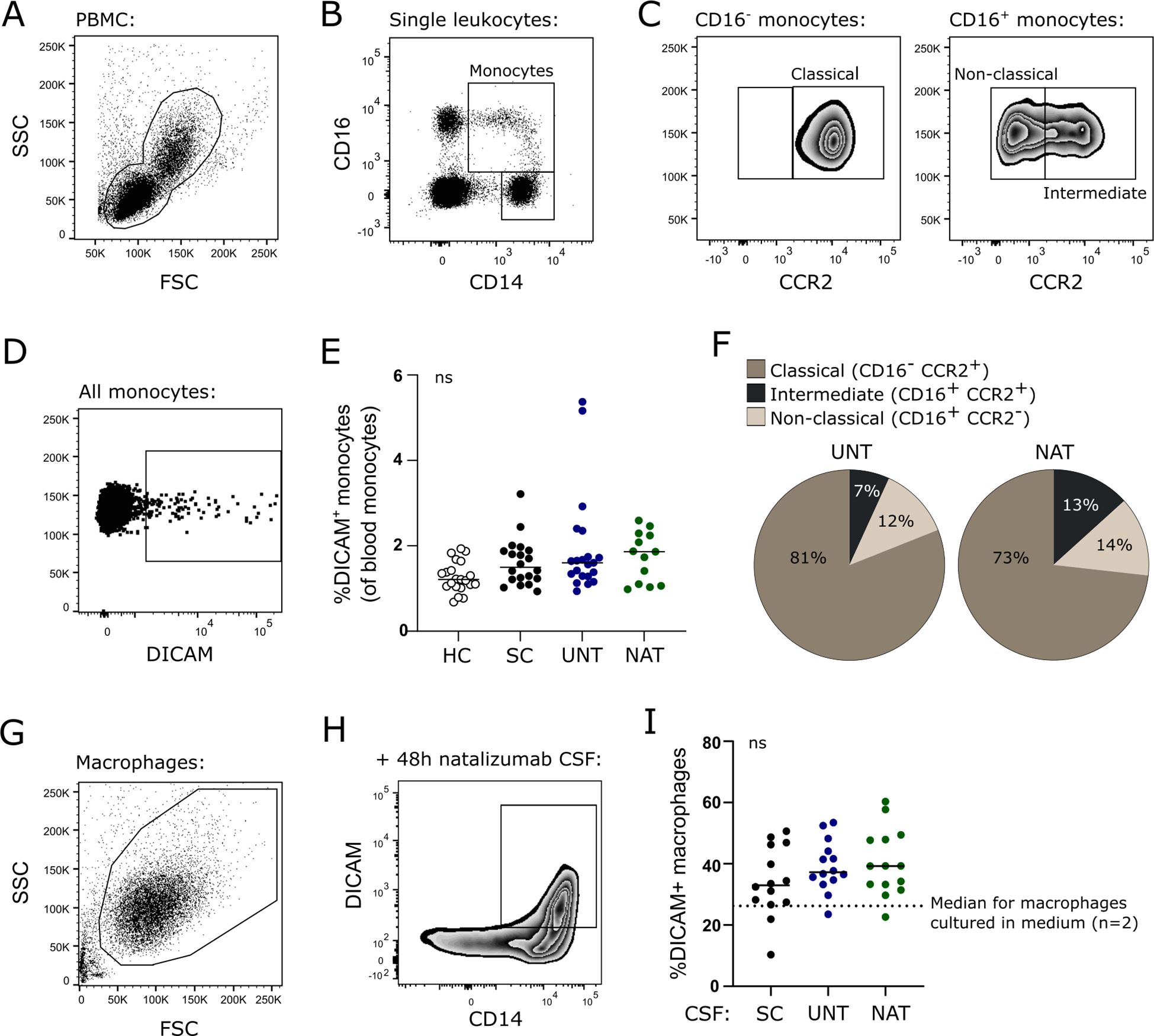 A series of flow cytometry plots and charts analyzing monocyte and macrophage populations. Panel A shows a scatter plot of PBMC with axes for SSC and FSC. Panel B displays single leukocytes with monocytes gated by CD16 and CD14. Panel C separates monocytes into classical and non-classical types based on CCR2 expression. Panel D focuses on DICAM expression in all monocytes. Panel E is a dot plot showing %DICAM+ monocytes across different groups. Panel F presents pie charts of monocyte subsets in UNT and NAT groups. Panel G shows macrophages in SSC and FSC scatter plot. Panel H illustrates DICAM and CD14 expression in macrophages after 48 hours of natalizumab CSF treatment. Panel I depicts %DICAM+ macrophages in a dot plot comparing CSF groups.