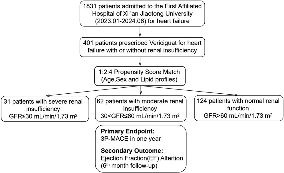 Flowchart depicting a study at the First Affiliated Hospital of Xi'an Jiaotong University. Out of 1831 patients with heart failure, 401 were prescribed Vericiguat. These patients were categorized using a 1:2:4 propensity score matching by age, sex, and lipid profiles. 31 had severe renal insufficiency (GFR ≤ 30 mL/min/1.73 m²), 62 had moderate renal insufficiency (30 < GFR ≤ 60 mL/min/1.73 m²), and 124 had normal renal function (GFR > 60 mL/min/1.73 m²). The primary endpoint is 3P-MACE in one year, with secondary outcomes focusing on Ejection Fraction alteration at the sixth month follow-up.