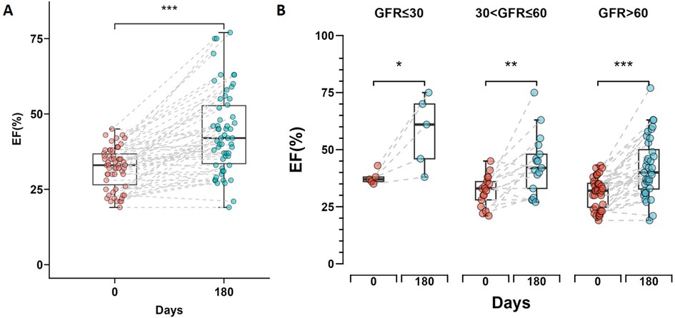 Box plots showing changes in ejection fraction (EF%) over 180 days. Panel A compares initial and final EF percentages, with a significant increase marked by asterisks. Panel B divides data by glomerular filtration rate (GFR) categories: GFR ≤ 30, 30 < GFR ≤ 60, and GFR > 60. All show significant increases in EF%, indicated by asterisks. Red dots represent initial values, and blue dots represent final values.