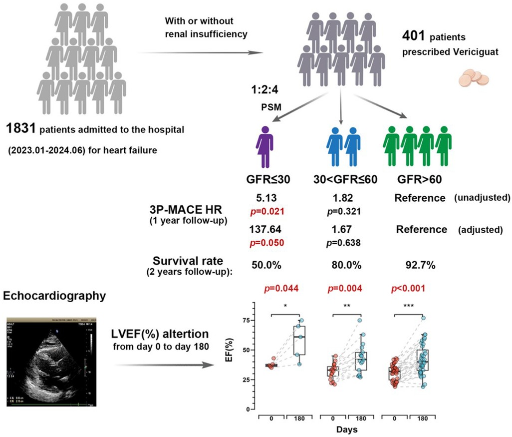 Infographic summarizing a study of 1,831 heart failure patients (January 2023–June 2024), including 401 prescribed Vericiguat. Patients were grouped by renal function using PSM into GFR≤30, 30\<GFR≤60, and GFR>60. One-year 3P-MACE hazard ratios and two-year survival rates were poorest in the GFR≤30 group (HR 5.13, survival 50%). Echocardiography showed LVEF improvement from day 0 to 180 across all groups, with statistically significant gains, greatest in patients with preserved renal function.