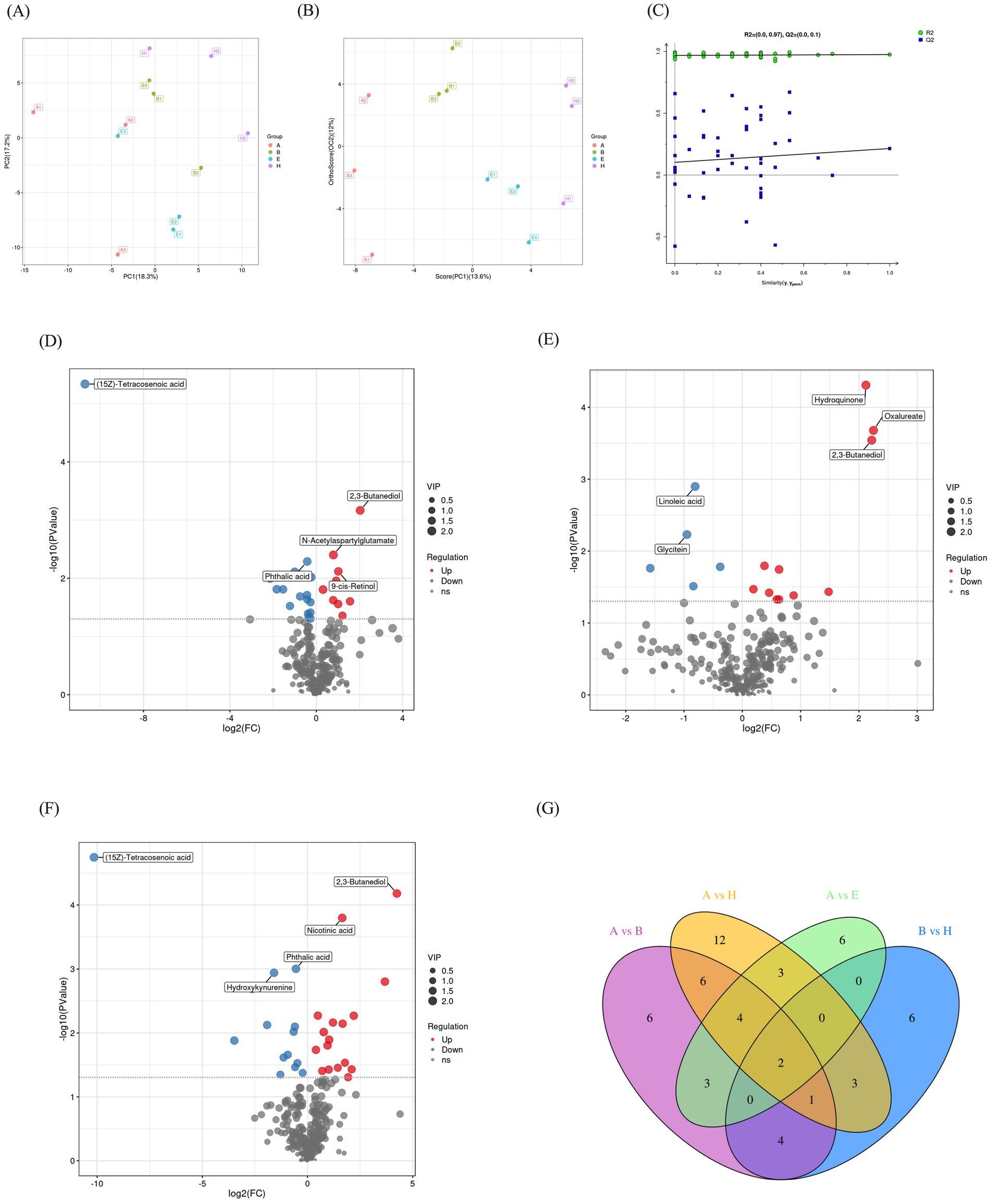(A) PCA plot showing sample groups with different distributions. (B) PLS-DA score plot indicating group separation. (C) OPLS-DA plot with correlation coefficients. (D-F) Volcano plots displaying metabolites with significant changes, annotated with names and color-coded by regulation status. (G) Venn diagram illustrating overlaps between comparisons A vs B, A vs H, A vs E, and B vs H, with numbers indicating shared elements.