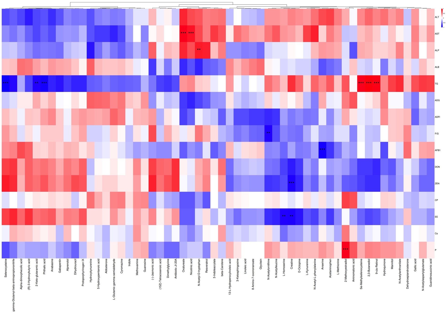 Heatmap showing biochemical data with rows labeled as ALT, AST, ALP, and others, and columns representing chemical compounds like Sterigmatocystein, Aflatoxin, and Acid. Colors range from blue to red, indicating varying data values, with specific areas marked by asterisks.
