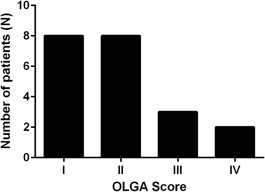 Bar graph showing the number of patients based on OLGA scores. OLGA scores I and II have nine patients each, while scores III and IV have four and three patients, respectively.