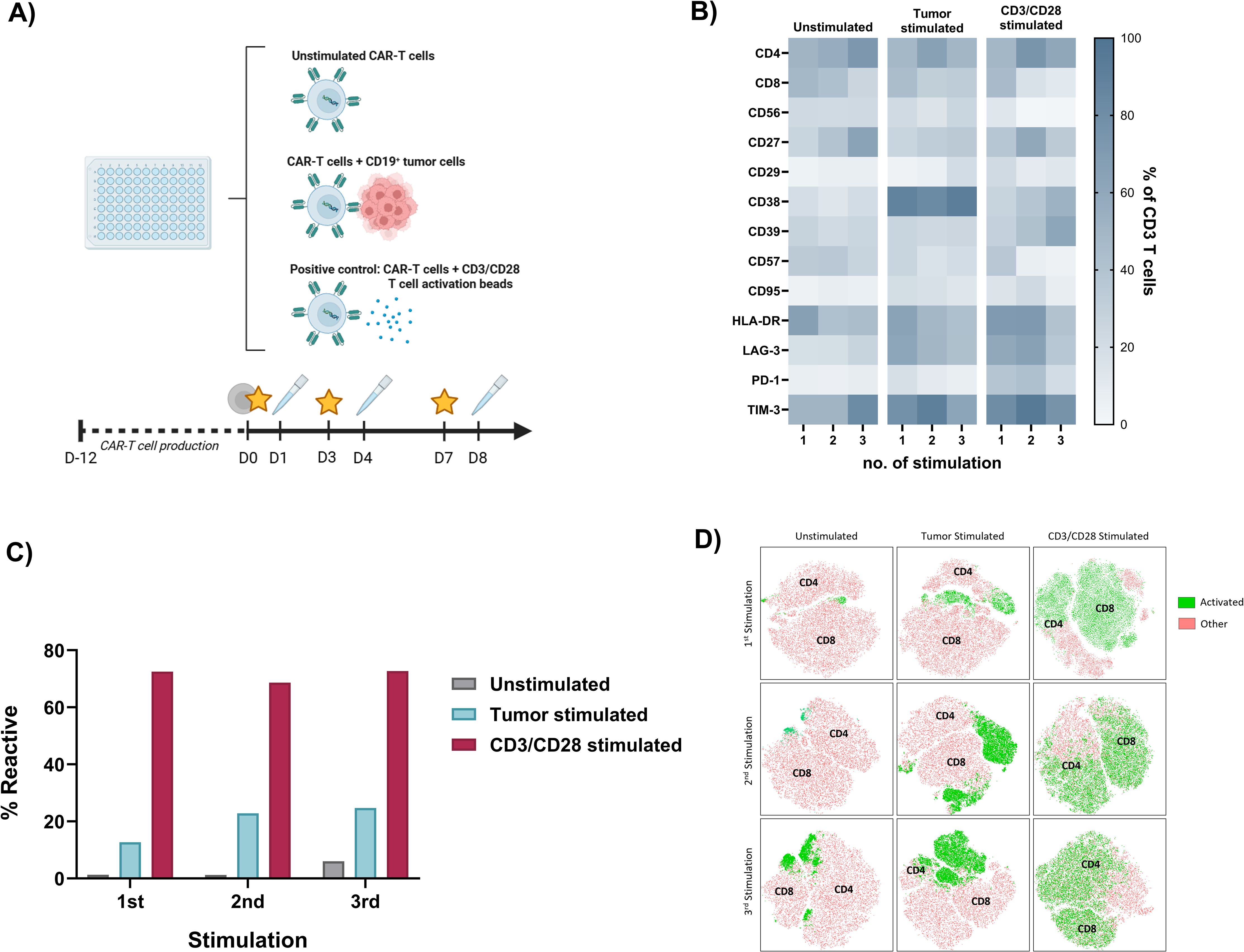 Panel A illustrates the experimental setup for testing CAR-T cell stimulation, with a timeline from production to various stimulations. Panel B presents a heatmap showing the expression levels of different markers on CD3 T cells across three stimulations under three conditions: unstimulated, tumor-stimulated, and CD3/CD28-stimulated. Panel C depicts a bar graph of the percentage of reactive cells per stimulation type, highlighting higher reactivity in CD3/CD28-stimulated cells. Panel D shown uniform manifold approximation and projection map visualizing the activation status of CD4 and CD8 cells across the three stimulation conditions.
