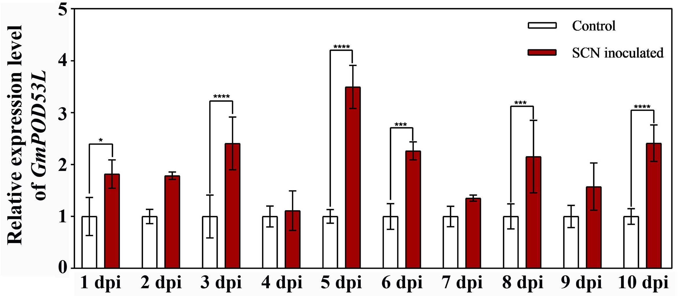 Bar chart showing relative expression levels of GmPOD53L from one to ten days post-inoculation (dpi) with SCN. Red bars represent SCN inoculated samples, and white bars represent control samples. Significant differences are marked with asterisks. SCN inoculation appears to increase expression, particularly at five and ten dpi.