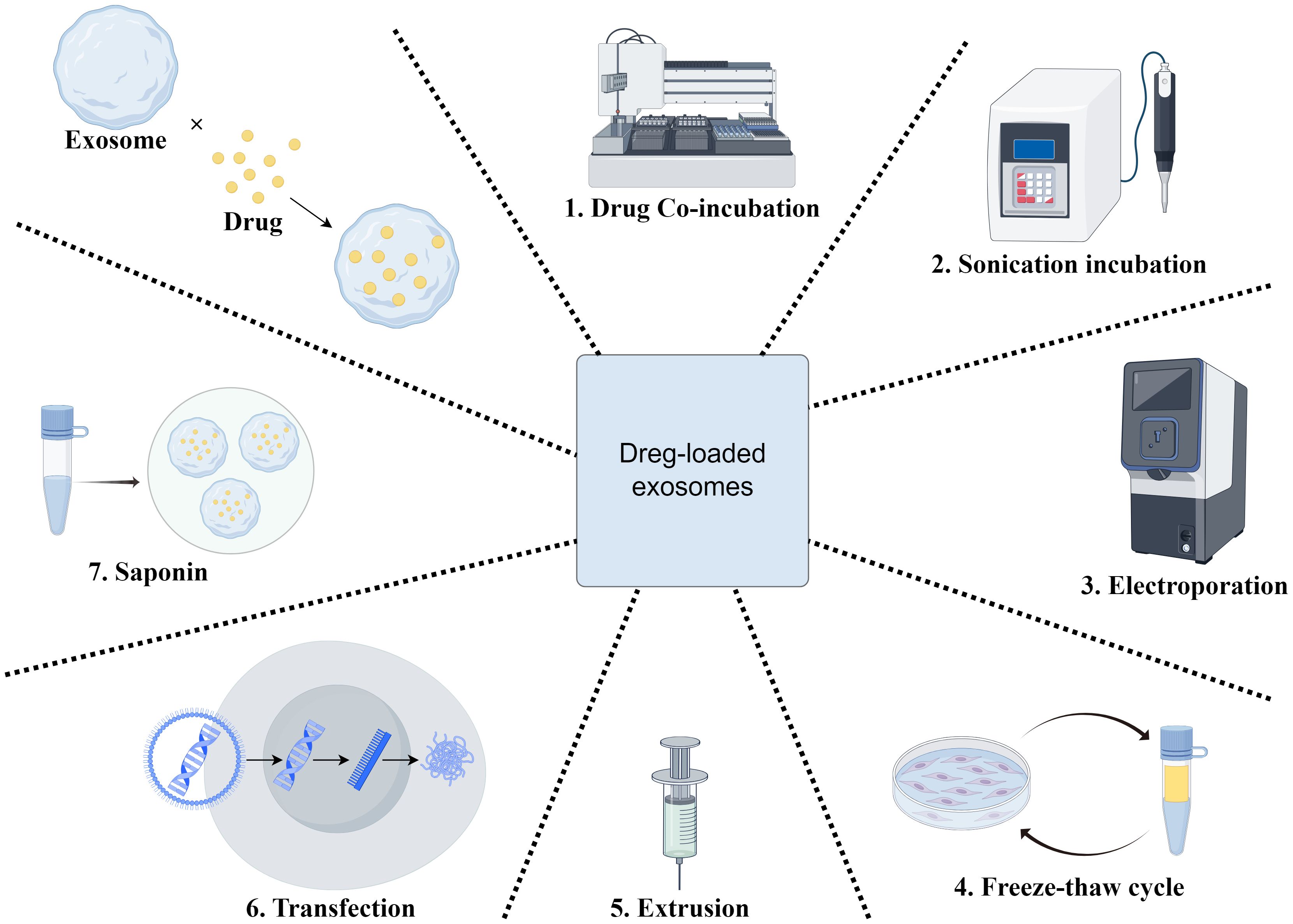 Diagram illustrating methods for drug loading into exosomes. Central box labeled “Drug-loaded exosomes” is surrounded by seven methods: 1) Drug co-incubation, 2) Sonication incubation, 3) Electroporation, 4) Freeze-thaw cycle, 5) Extrusion, 6) Transfection, and 7) Saponin. Each method is depicted with an icon, such as lab equipment or chemical reactions, connected to the central box by dotted lines.