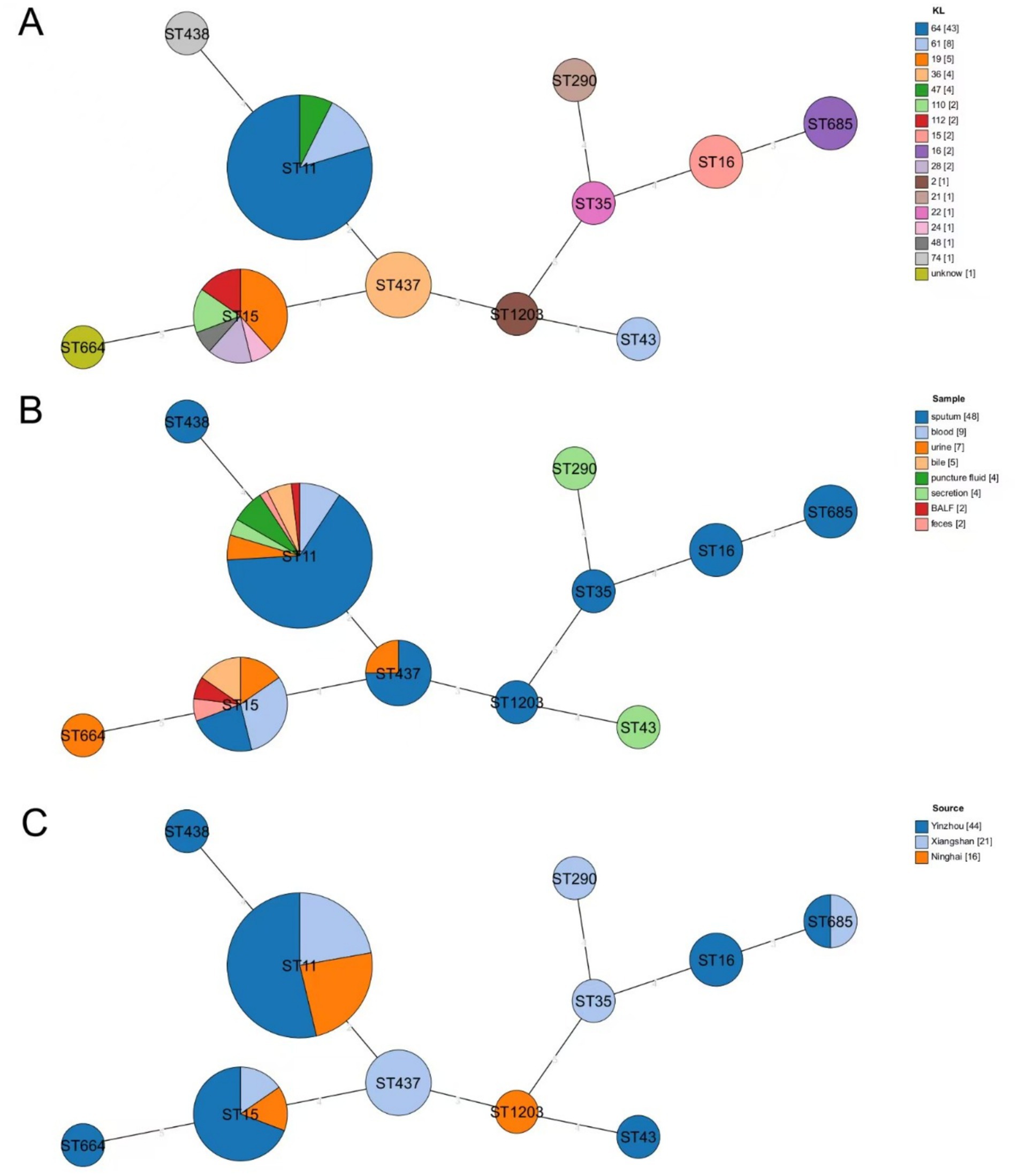 Three minimum spanning tree diagrams labeled A, B, and C, each illustrating genetic relationships among different sequence types (ST) of bacterial isolates. Circles represent STs, sized by the number of isolates, with color variations indicating K-locus types, sample sources, or geographic sources, according to each diagram's specific key. Lines connecting circles depict genetic linkages. Panels compare distribution and genetic diversity across different categorizations.