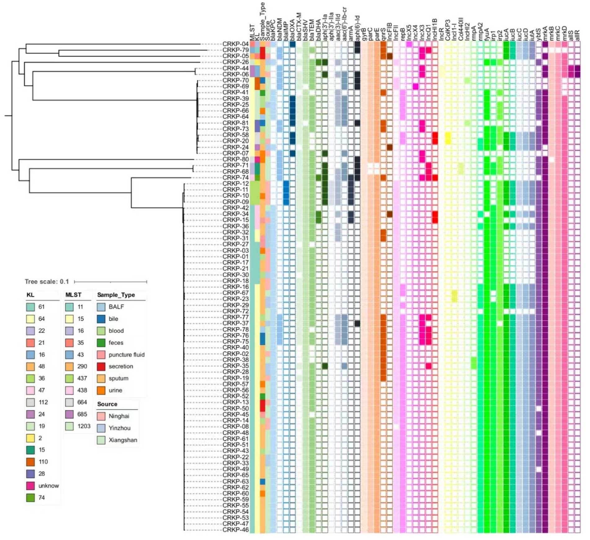 Dendrogram illustrating the clustering of various CRKP isolates, with columns representing different genetic and sample attributes. Colors indicate KL and MLST types, as well as sample types like BALF, bile, blood, feces, and more. A legend explains color codes for additional attributes, including geographic sources.