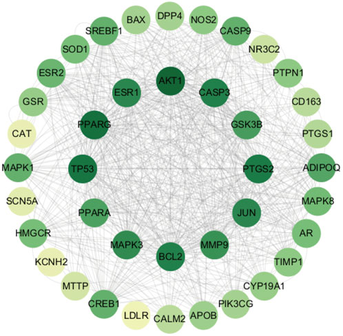 Network diagram illustrating interactions between various genes. Each circle represents a gene, with connections indicating interactions. Key genes such as AKT1, PPARG, and BCL2 are prominently displayed in darker green, while others like CAT and LDLR are in lighter shades. The complexity of interconnections is visible through numerous overlapping lines.