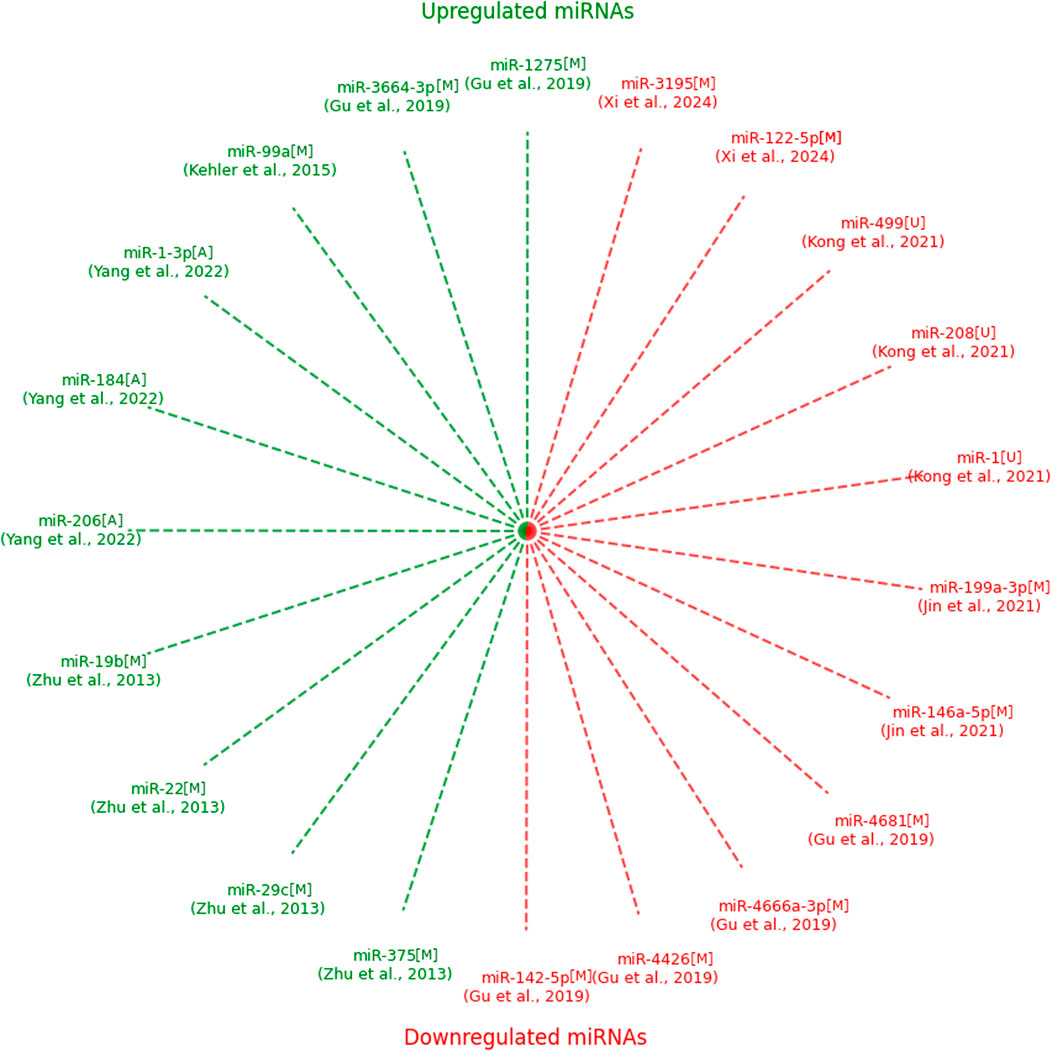Chart with green and red dashed lines radiating from a central point, each line labeled with a microRNA (miRNA) identifier and corresponding study citation. Green lines and text are on the left, red lines and text on the right. Each miRNA is associated with a specific reference, denoting different studies.