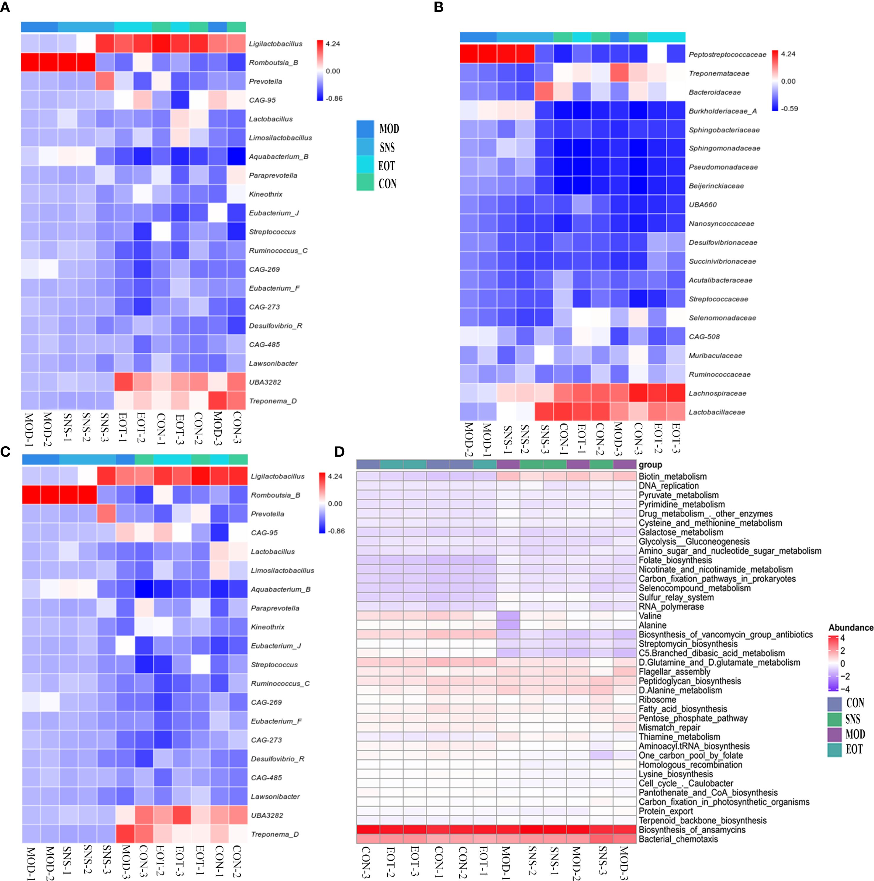 Four heatmaps (A, B, C, D) display microbial abundance and metabolic pathways across different conditions: MOD, SNS, EOT, and CON. Each heatmap uses a color scale from blue to red, indicating low to high abundance. Heatmap A and C focus on Lachnospiraceae and related bacteria, B highlights Peptostreptococcaceae, and D covers metabolic pathways like carbohydrate and amino acid metabolism. Data representation varies across conditions, providing insights into microbial and metabolic changes.